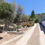 Ginepro Capitana