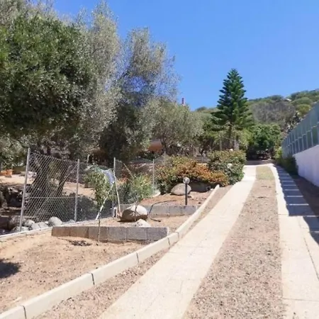 Ginepro Capitana